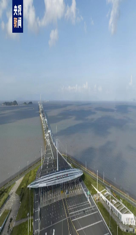 Hong Kong-Zhuhai-Macao Bridge popular with tour groups